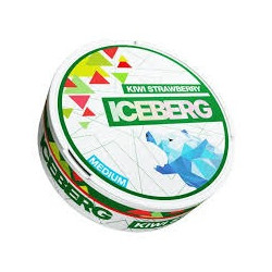 Snus  Iceberg Medium Kiwi...