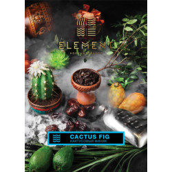 Element Cactus Fig Water  40gr