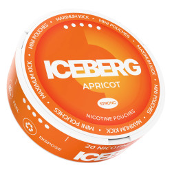 Iceberg Extreme MINI Apricot